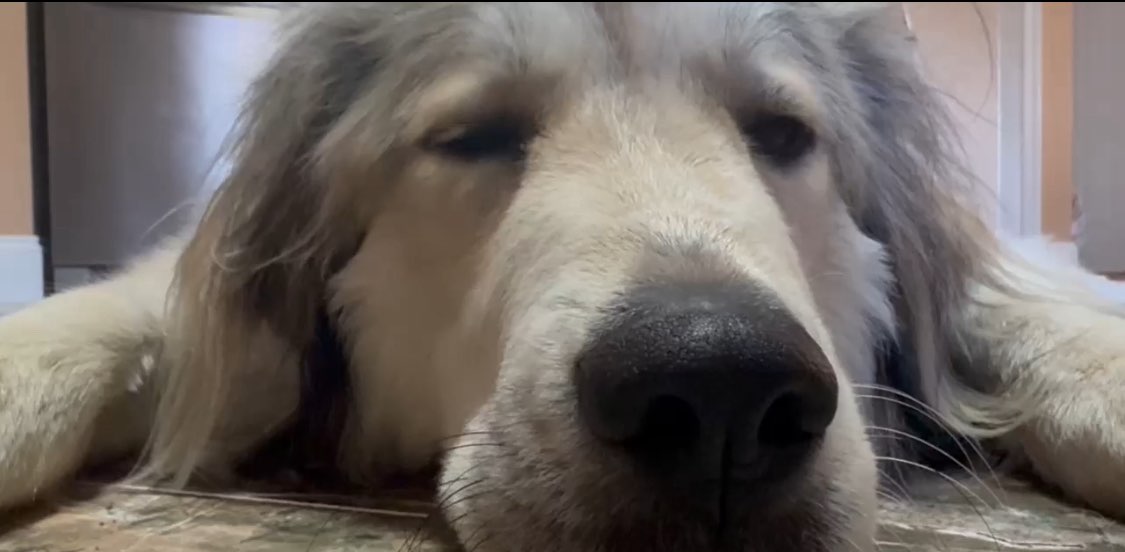 losers with no friends banner