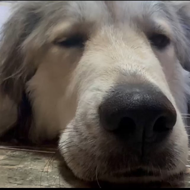 losers with no friends logo