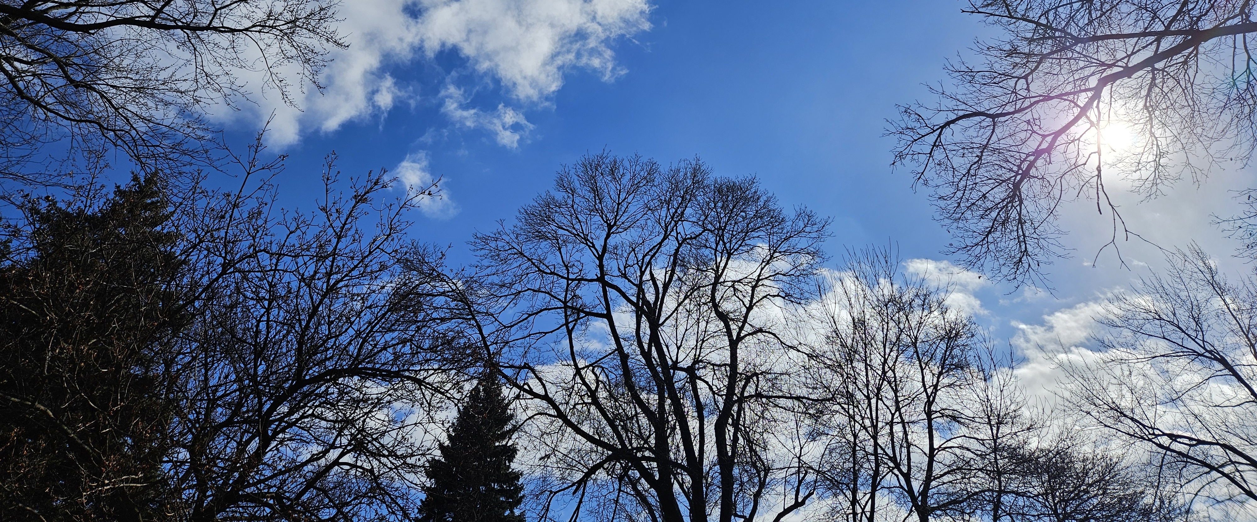 Pacer Group 2 banner