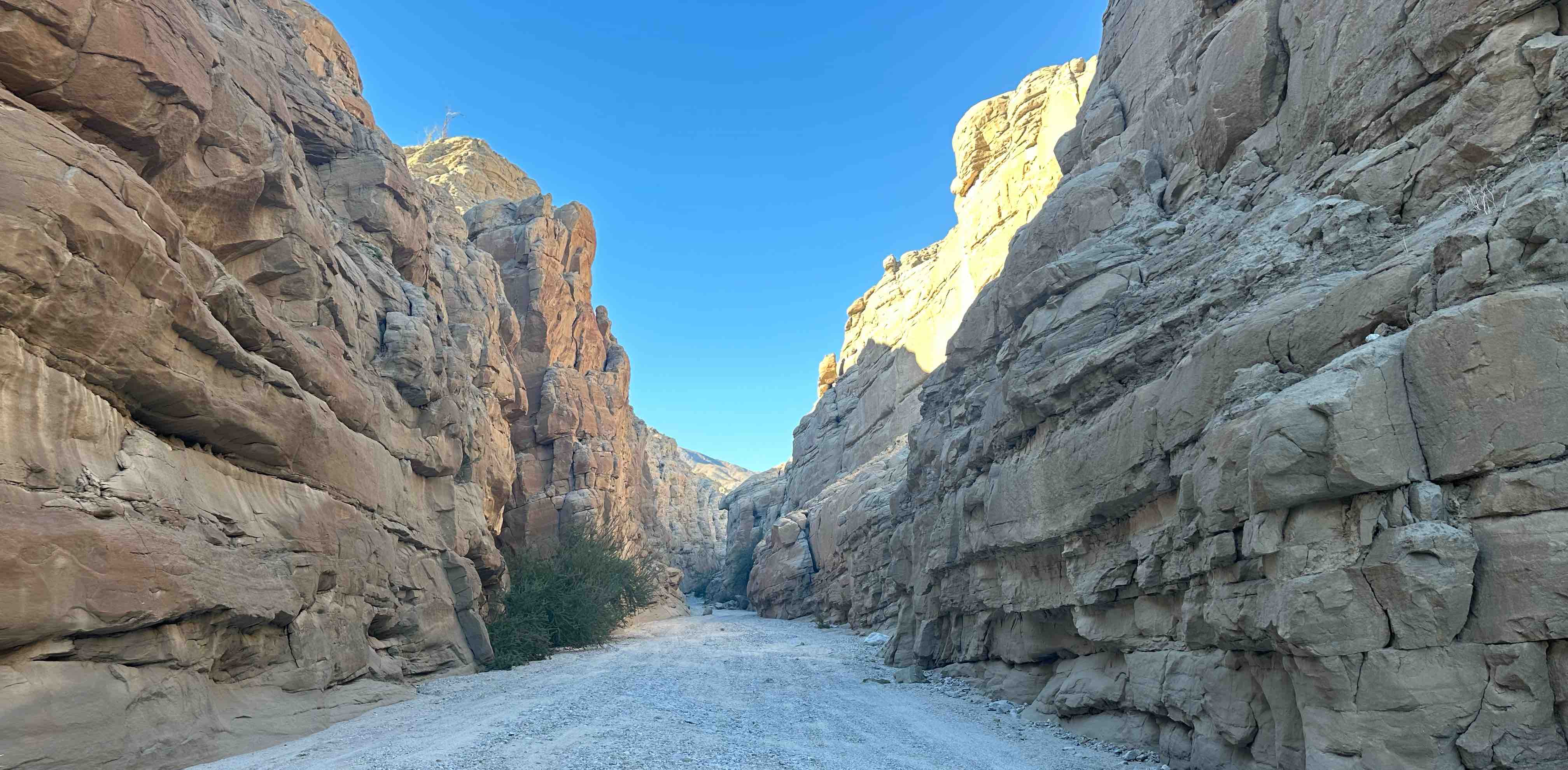 Stronger Together banner