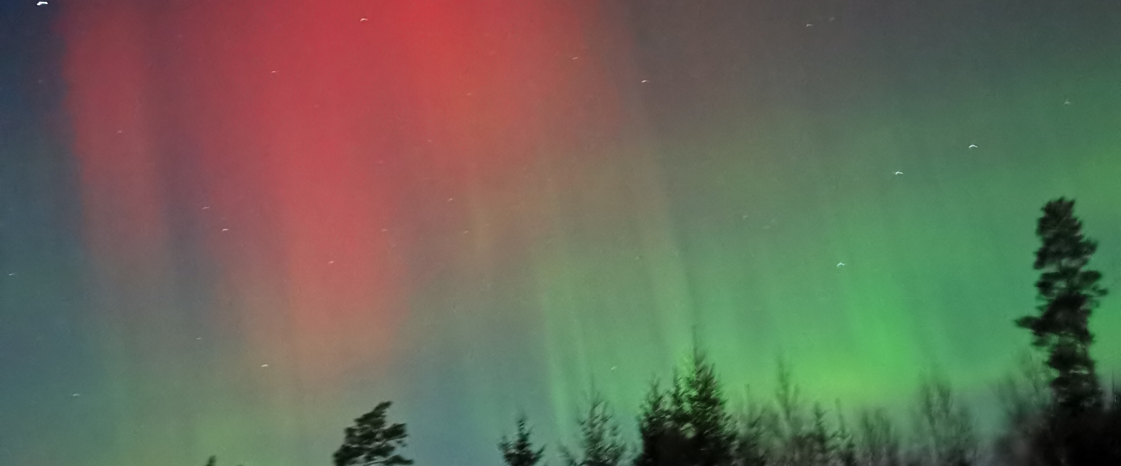 sätt döfläsket i gungning banner