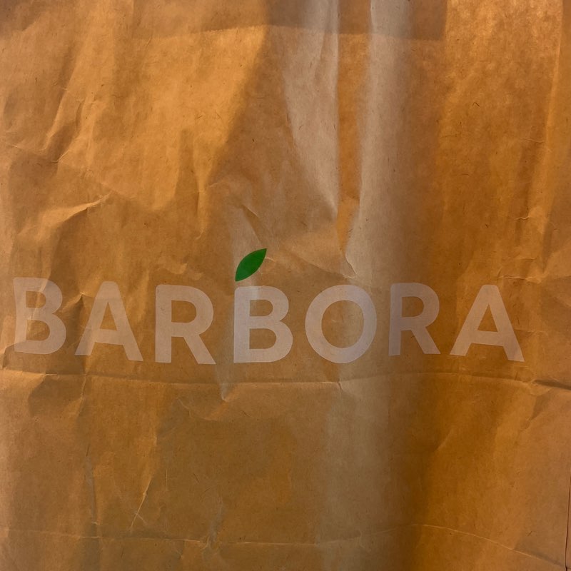 Pabudimas po žiemos miego logo