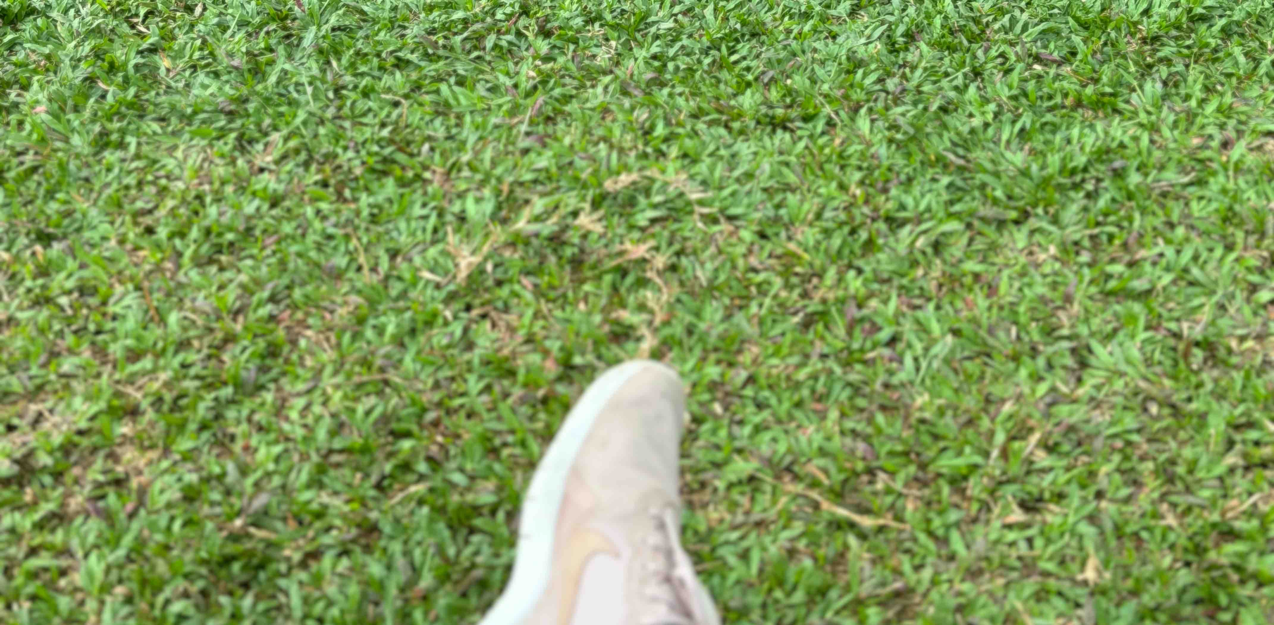 walk for a change banner