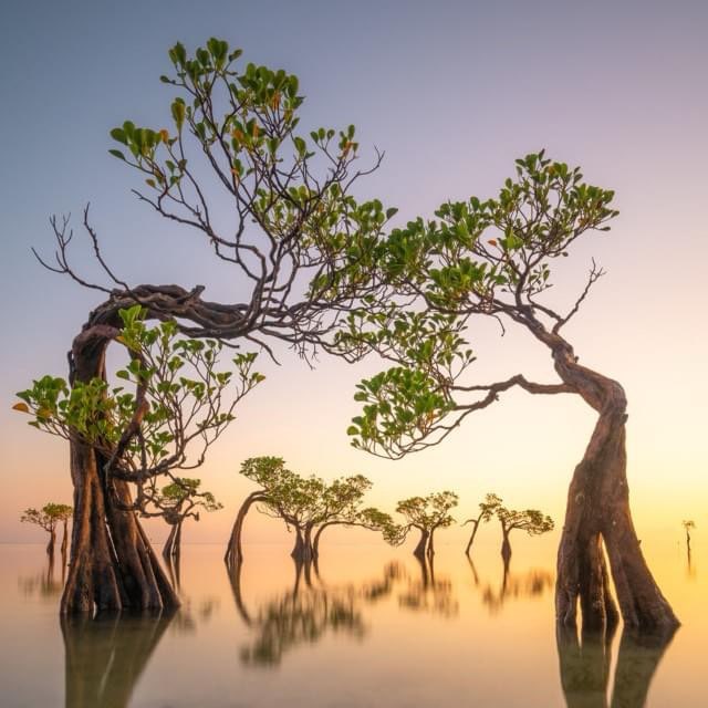 Gaziantep walkers logo