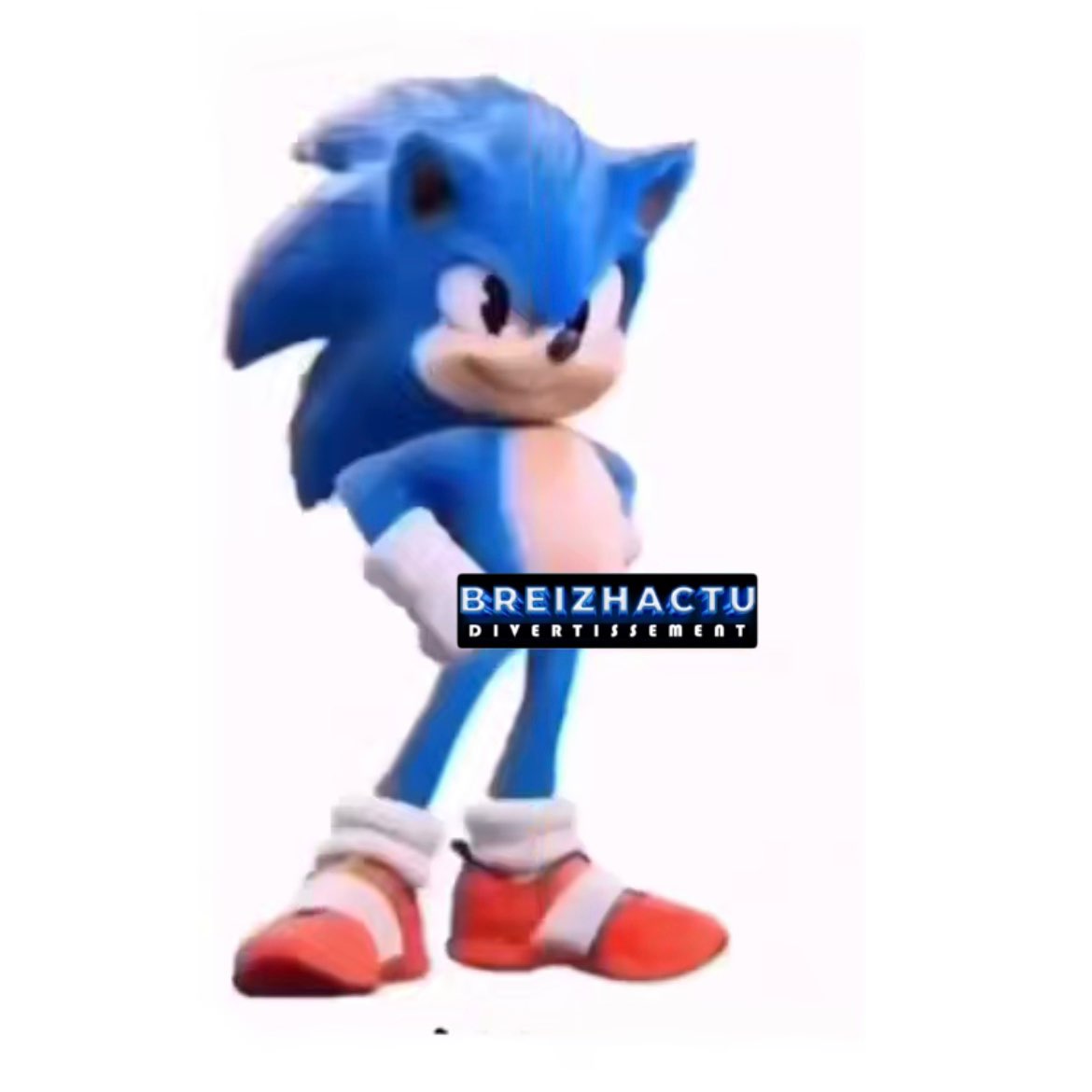 team Finistère logo