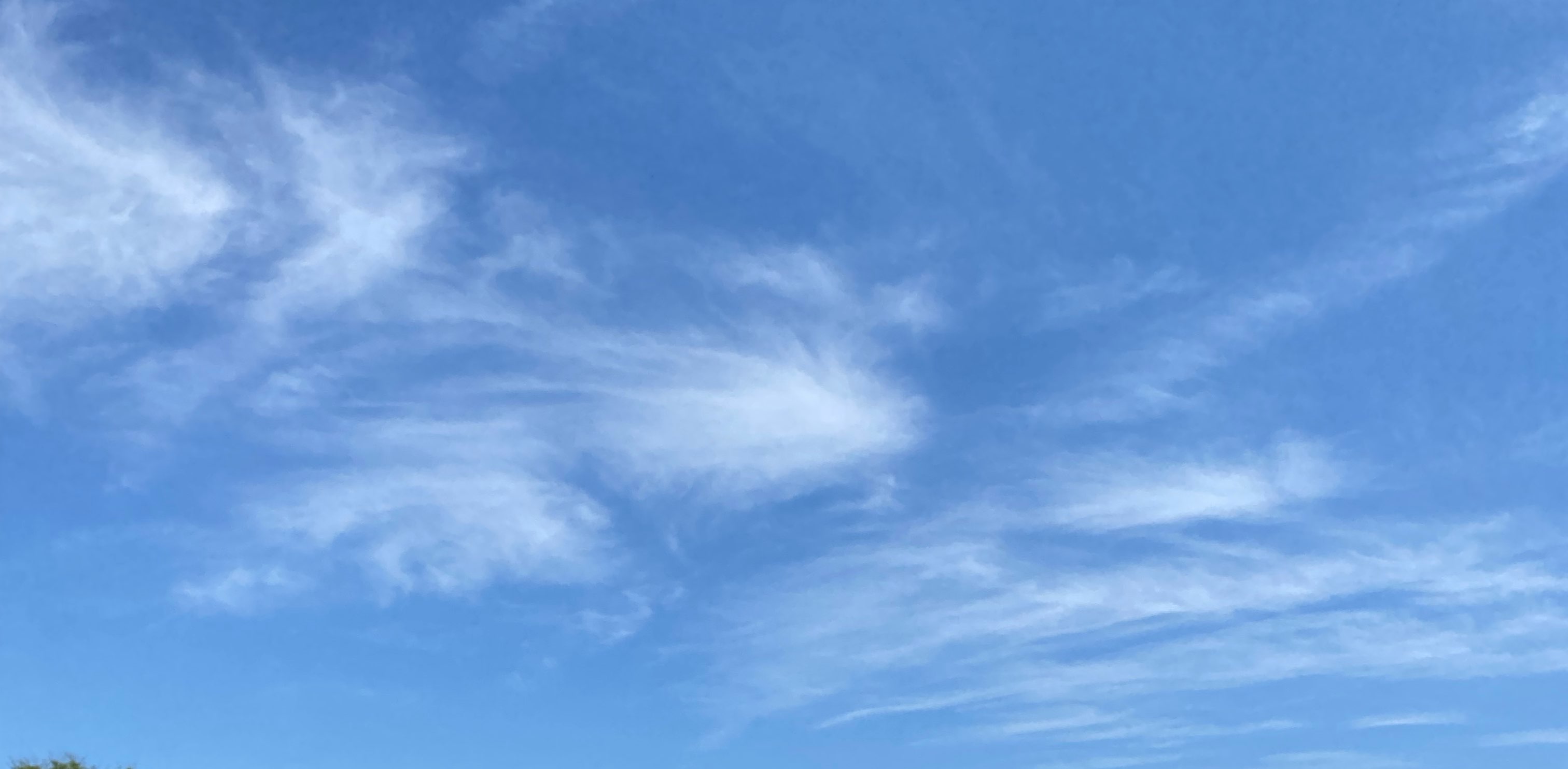 【AIM】2024年2月歩数競争イベント banner