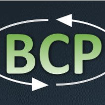 Besse, Carmona and Partin 2025