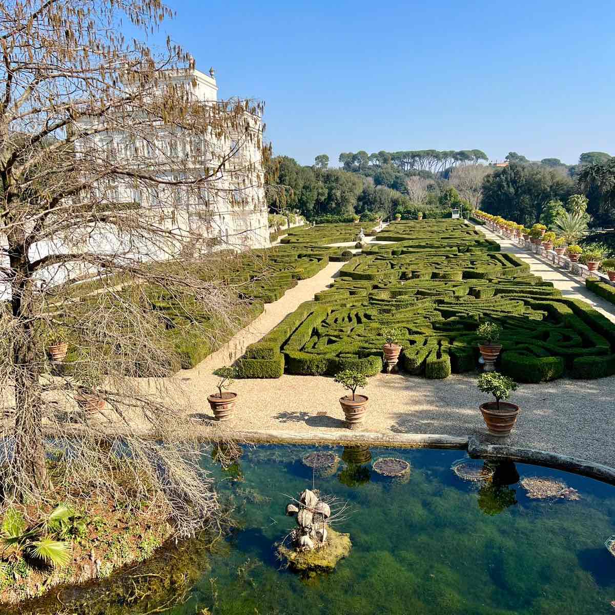 ходьба для хорошего настроения logo