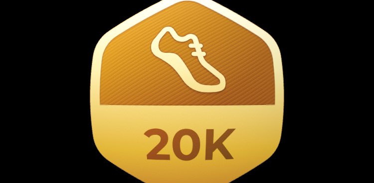 20000 steps a day banner