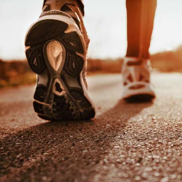 PeopleScout Steppers logo