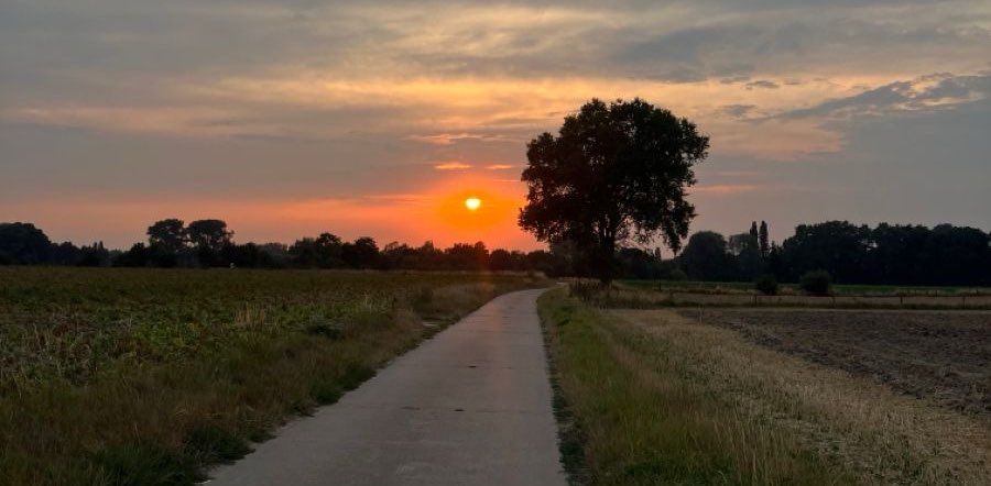 HOT MOM WALK 🤩🌻🥰👣 banner