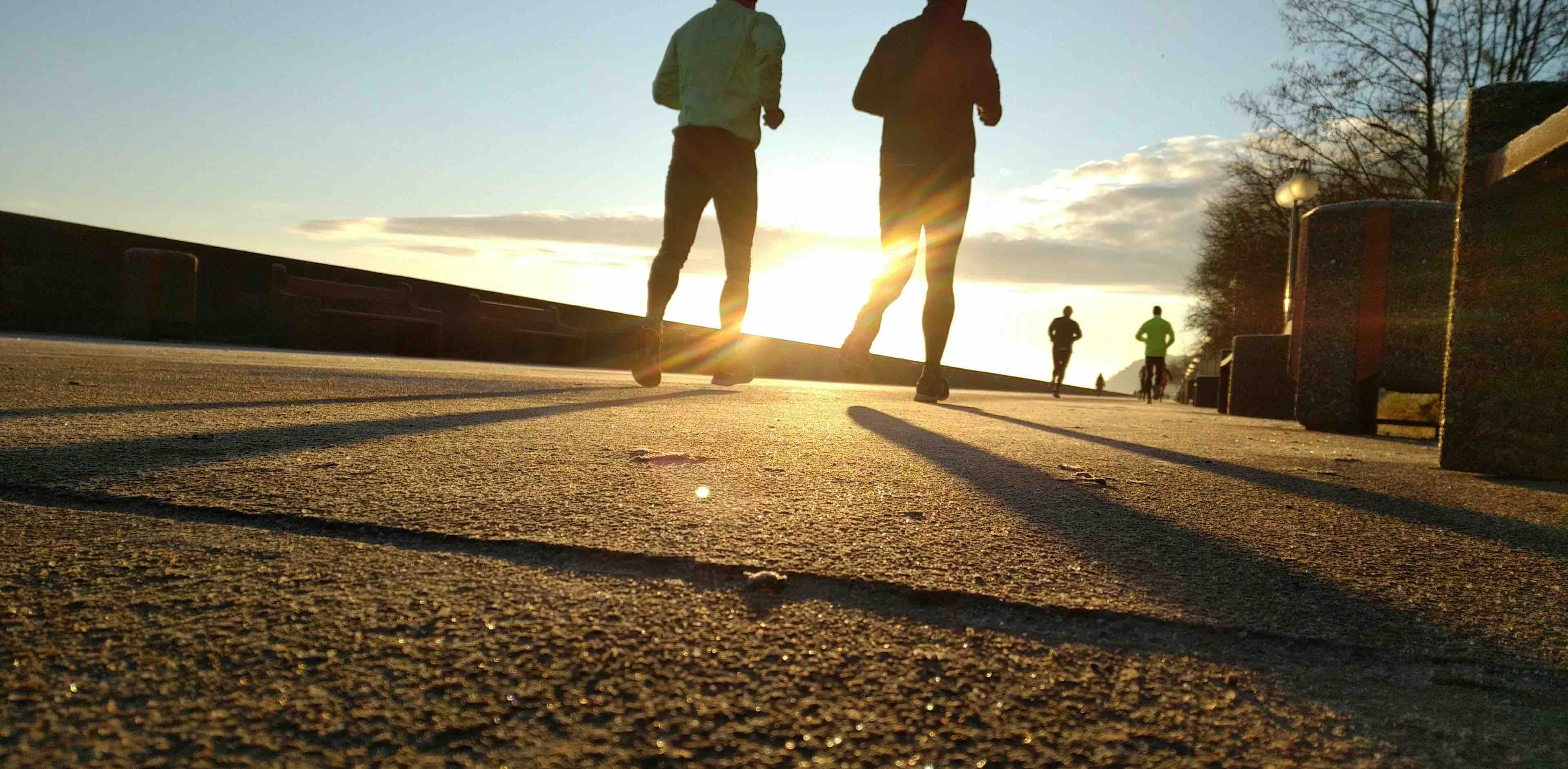 Homestead Fitness Club banner
