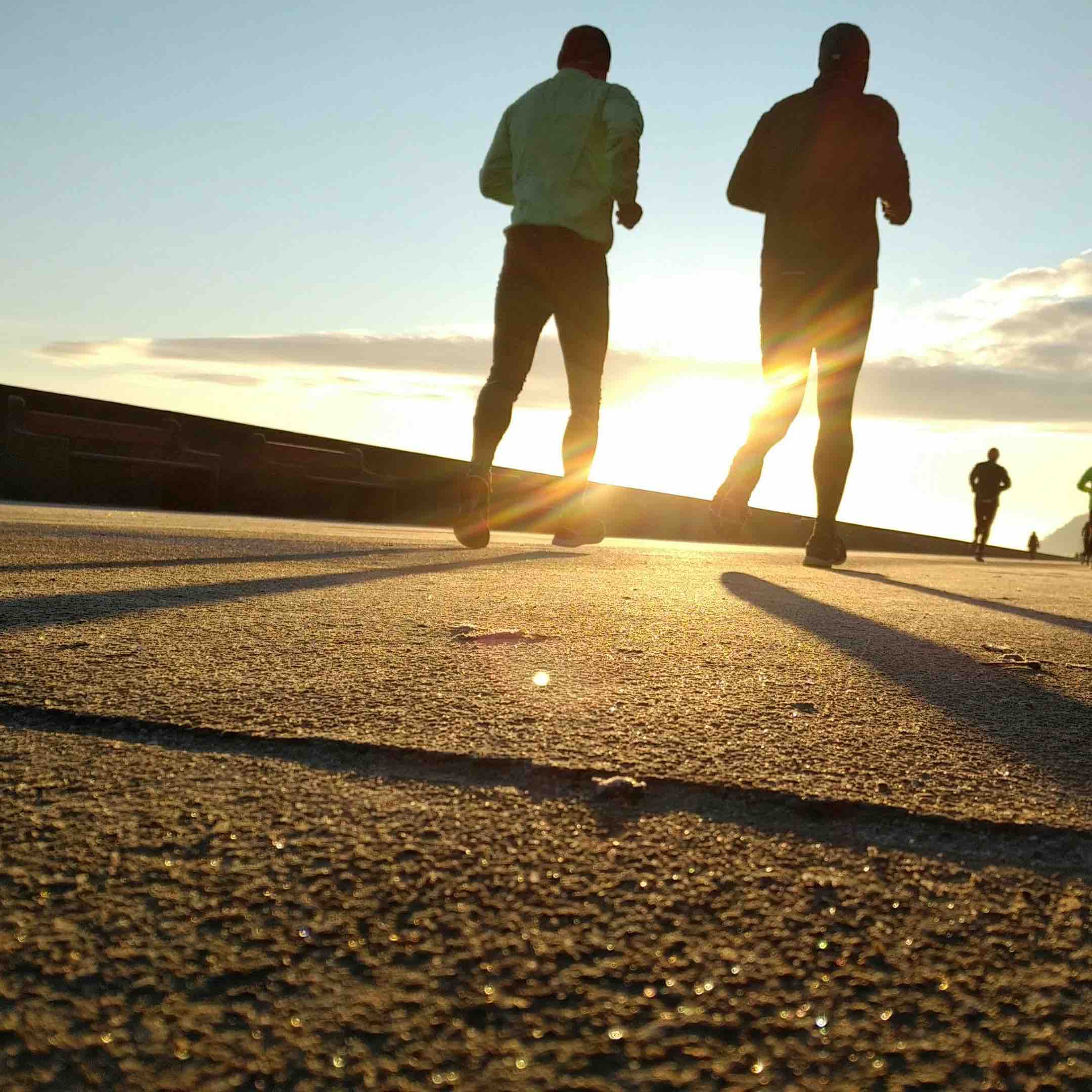 Homestead Fitness Club logo