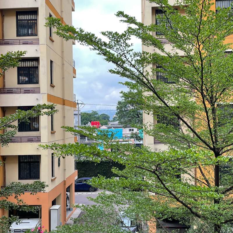 Round Green Steppers logo