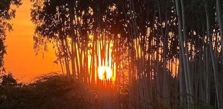 5 AM Challengers banner