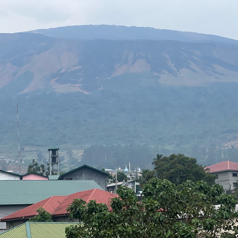 Step up pounds down logo