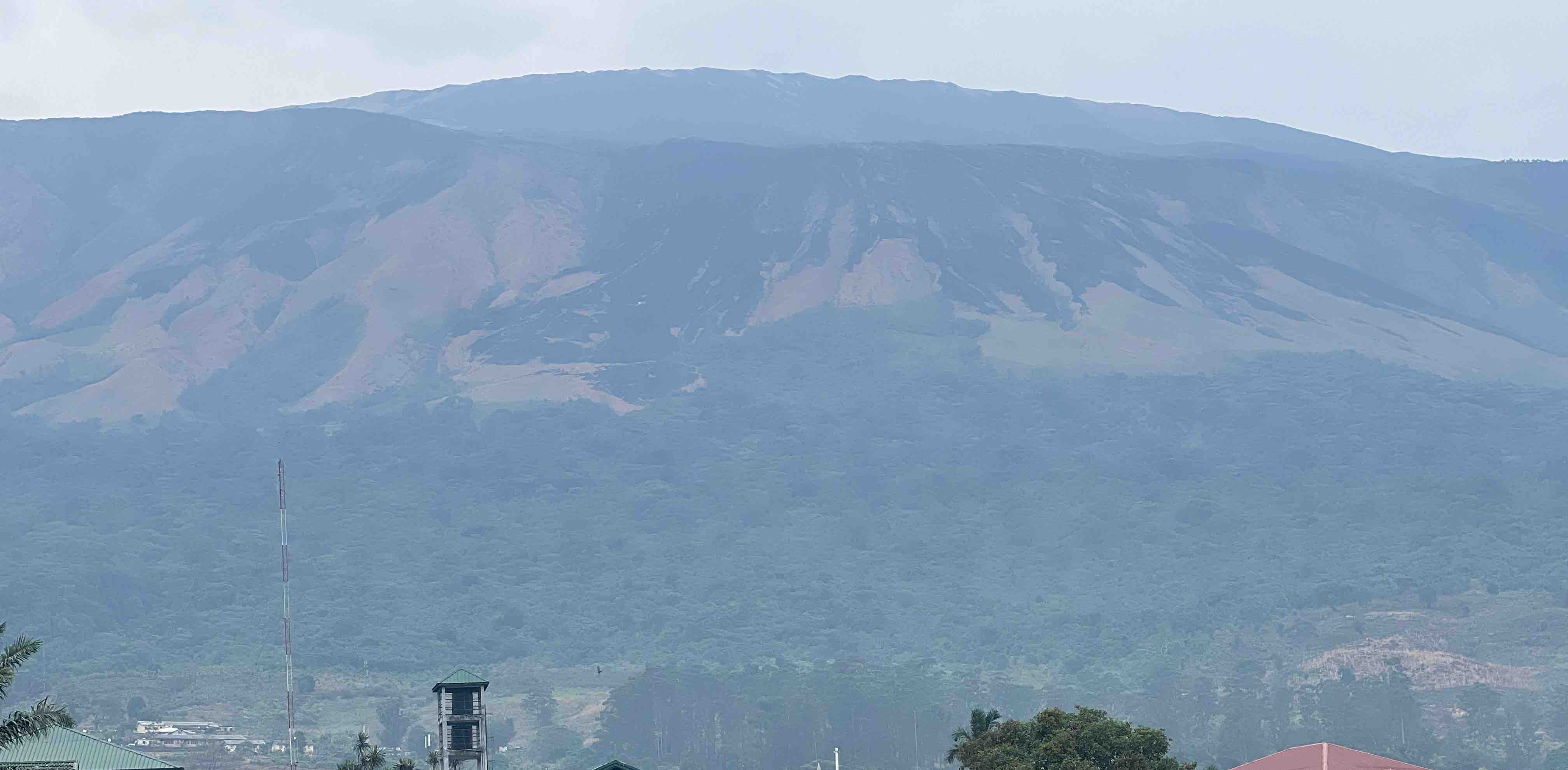 Step up pounds down banner