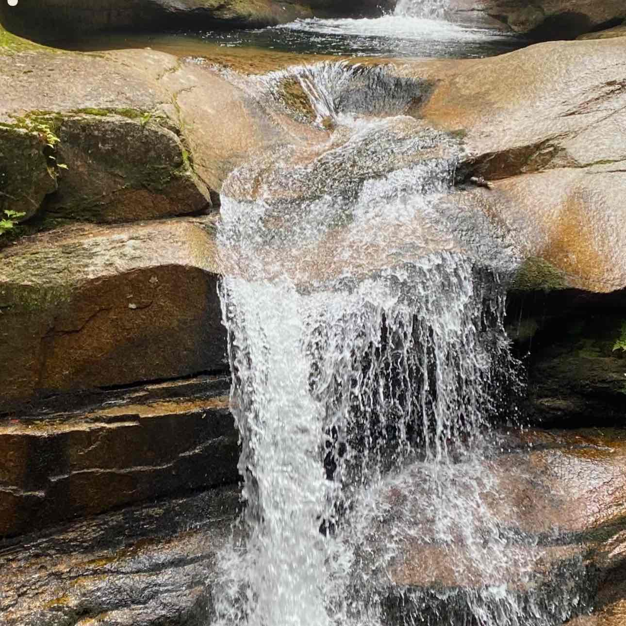 Spring Walking Challenge logo