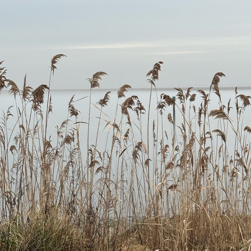 FEBRUARY ❤️ logo