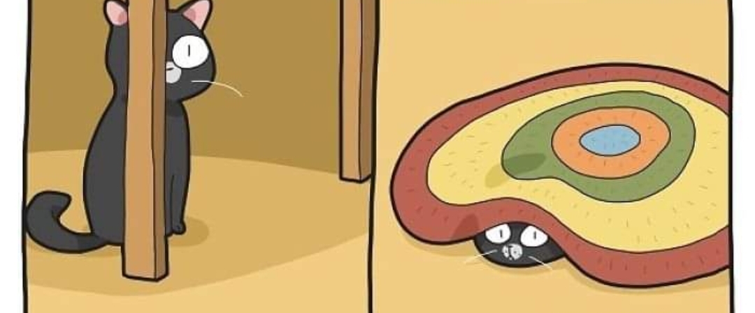 Cats 🐈 World Domination 🌎 banner