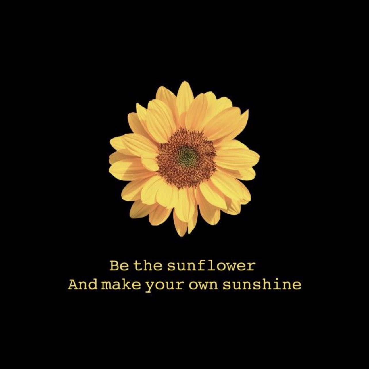 We stick together to the Sun logo