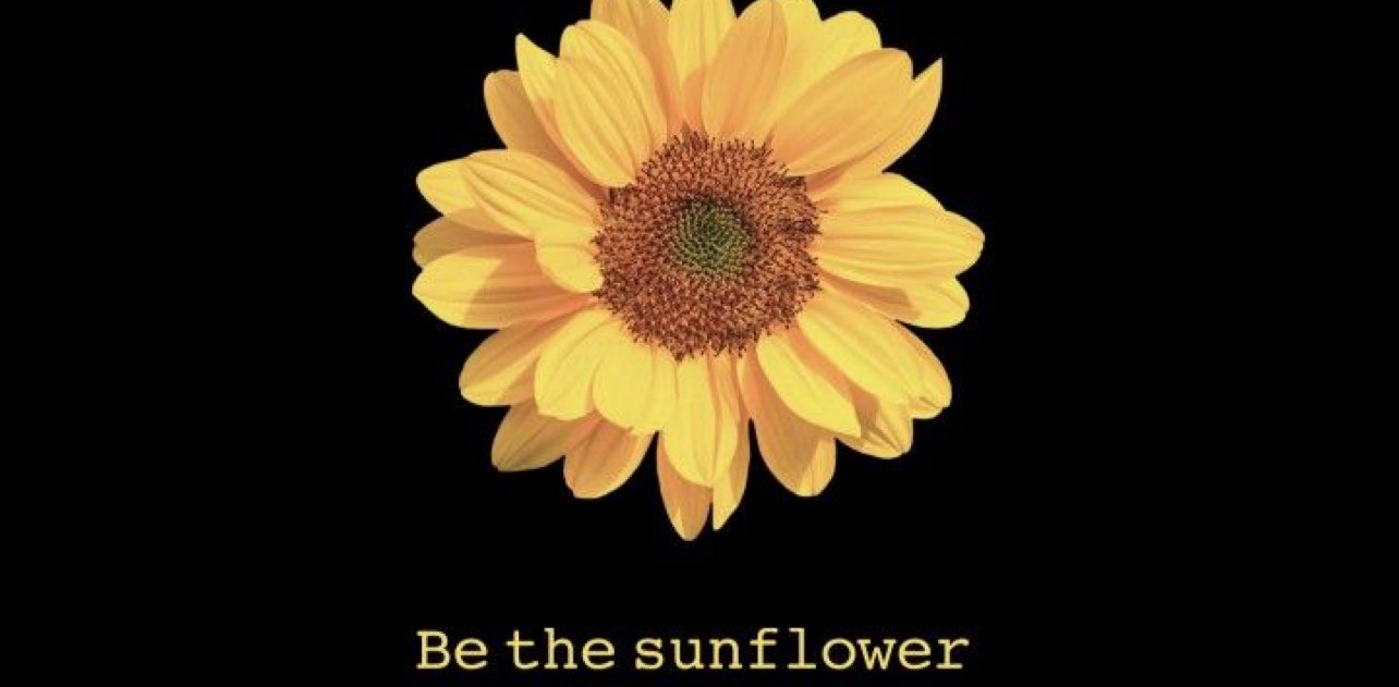 We stick together to the Sun banner