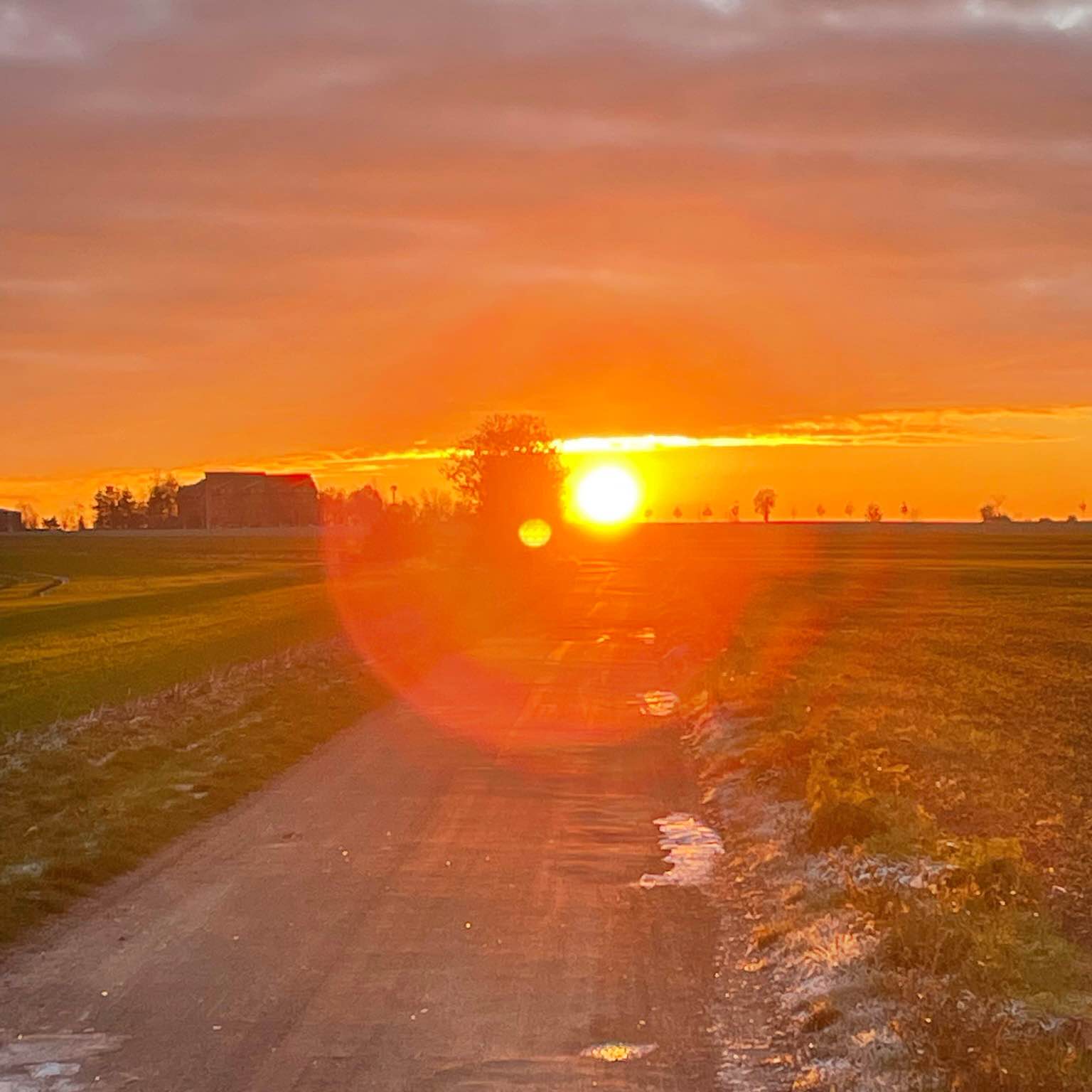 Pacerfreunde 🏃🏼‍♀️🏃🏻‍♂️ logo