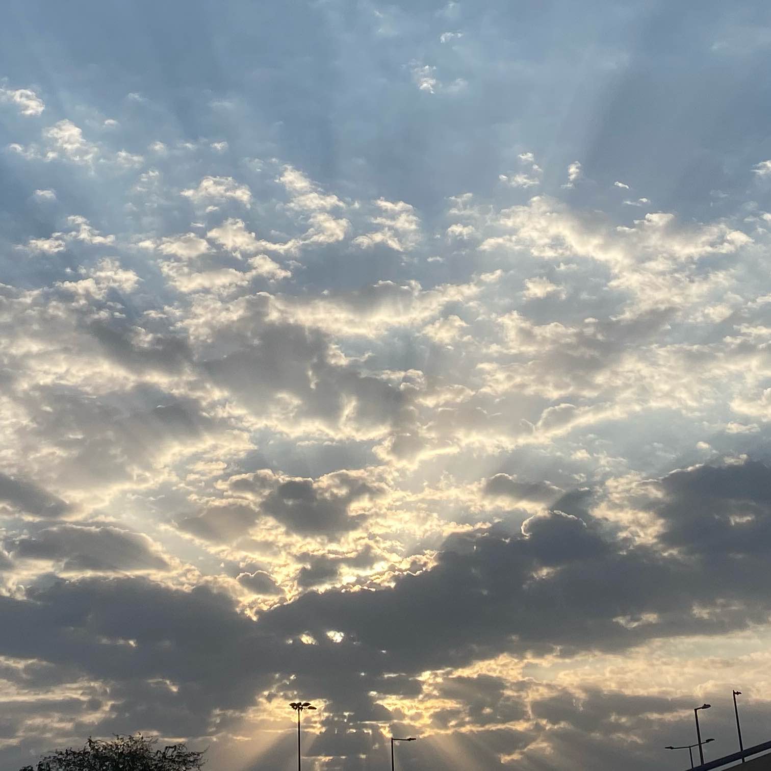 GCC to the World 🌍 logo