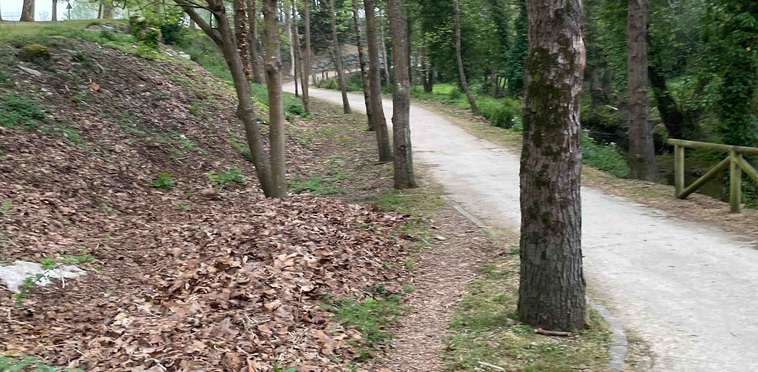 Mayores de 50 años banner