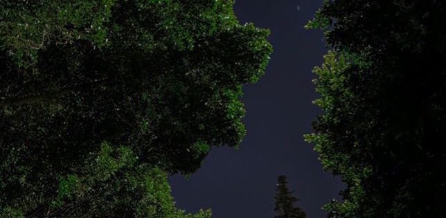 pacing sisters 😈💯 banner