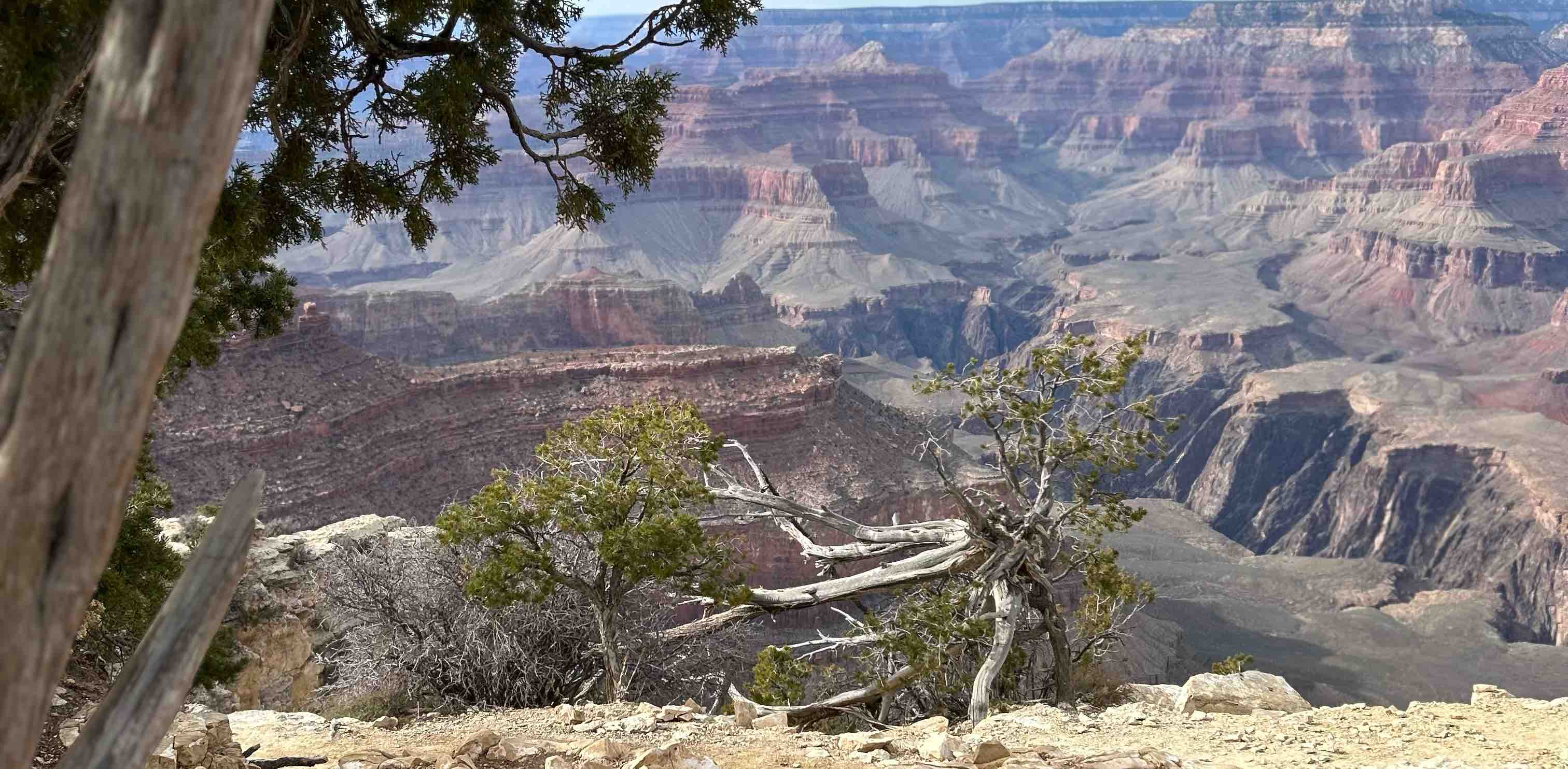 National Parks banner