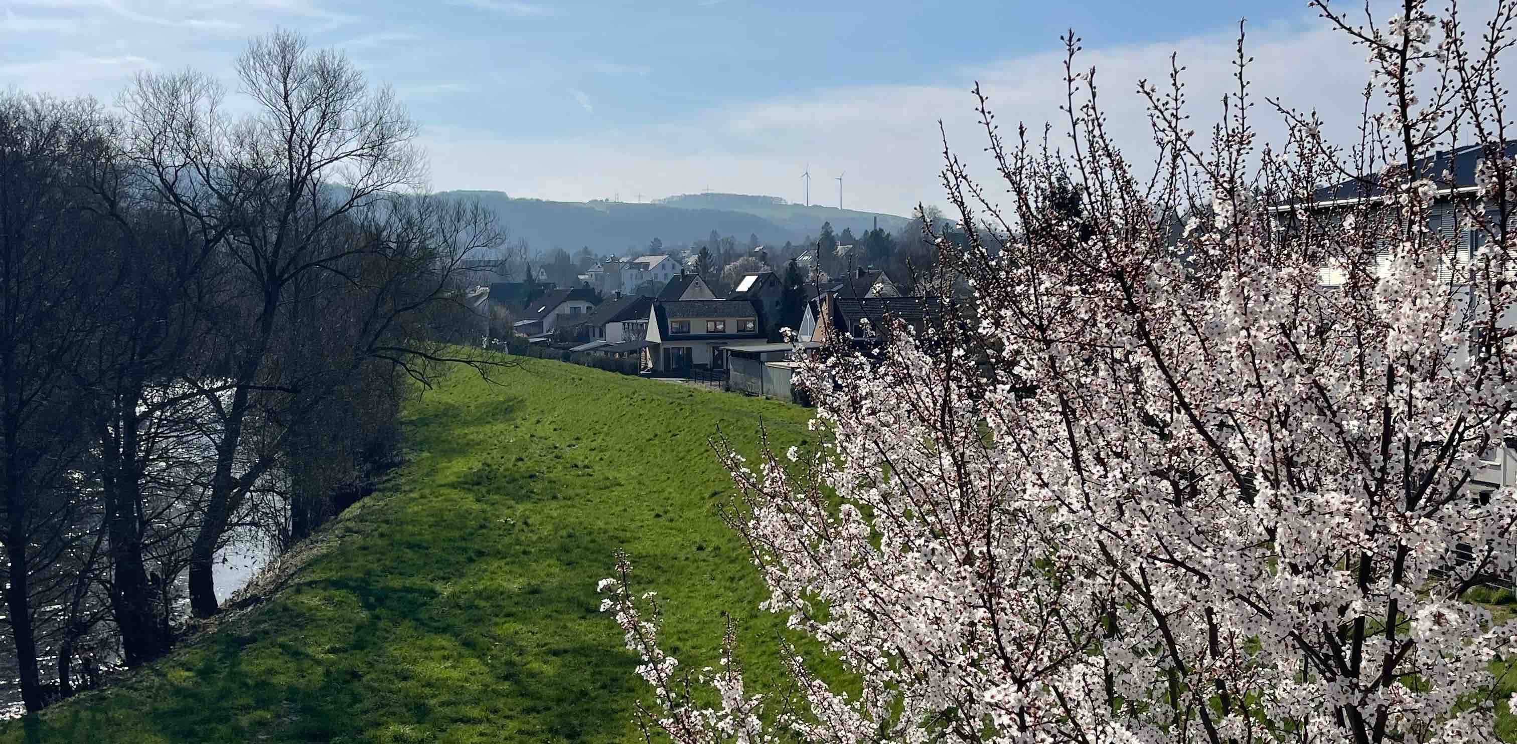 Meisenheim 🇩🇪❤️ banner