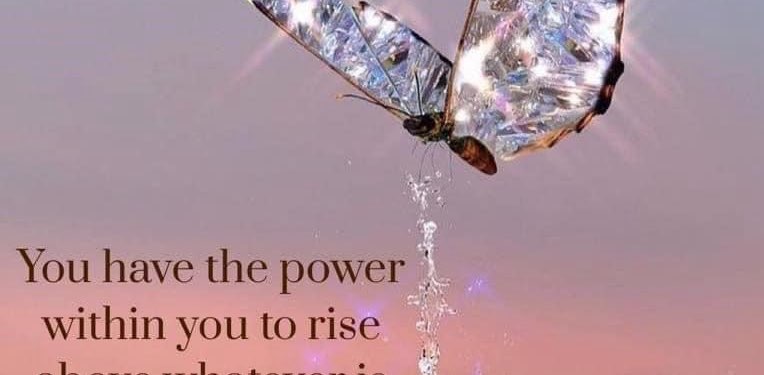 Weight Loss Divas banner