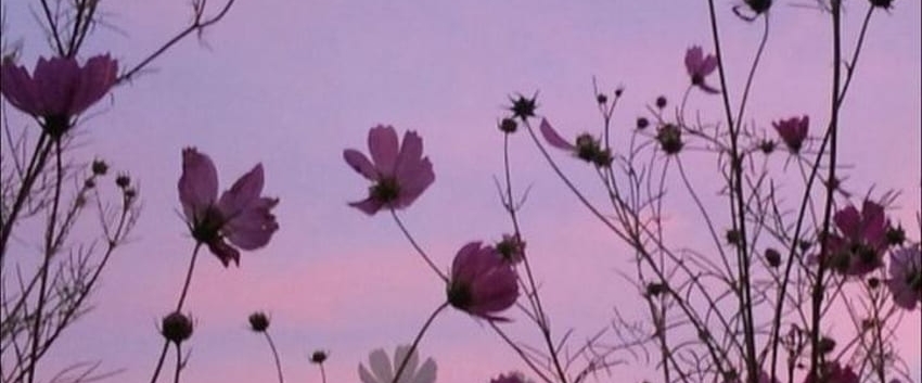 Sadangi Family Group banner