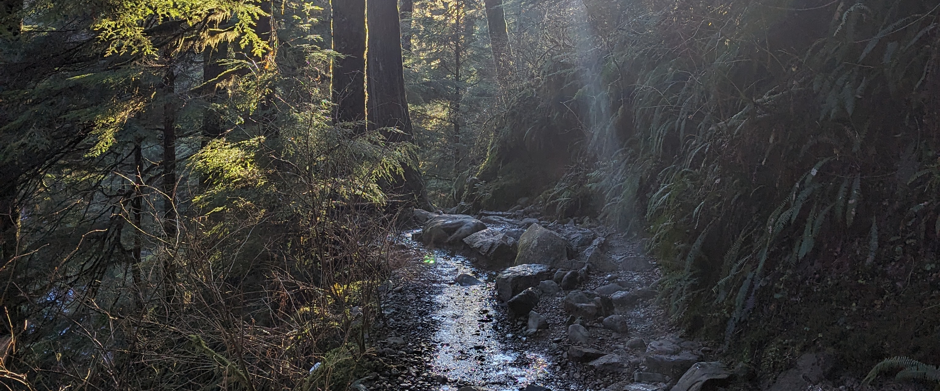 Where The Wild Things Are banner