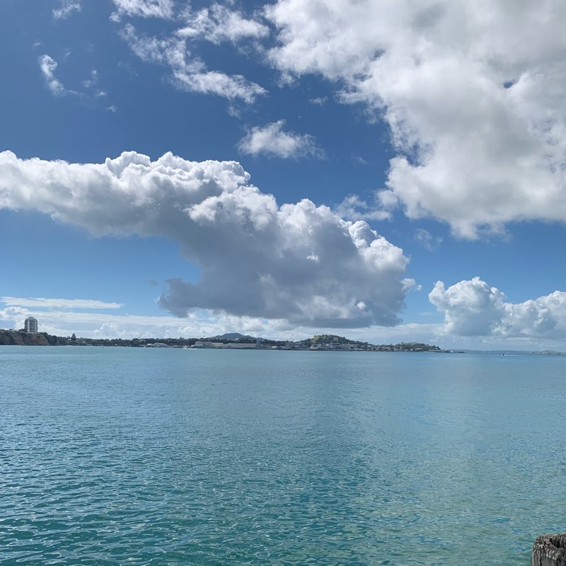 New Zealand runners! logo