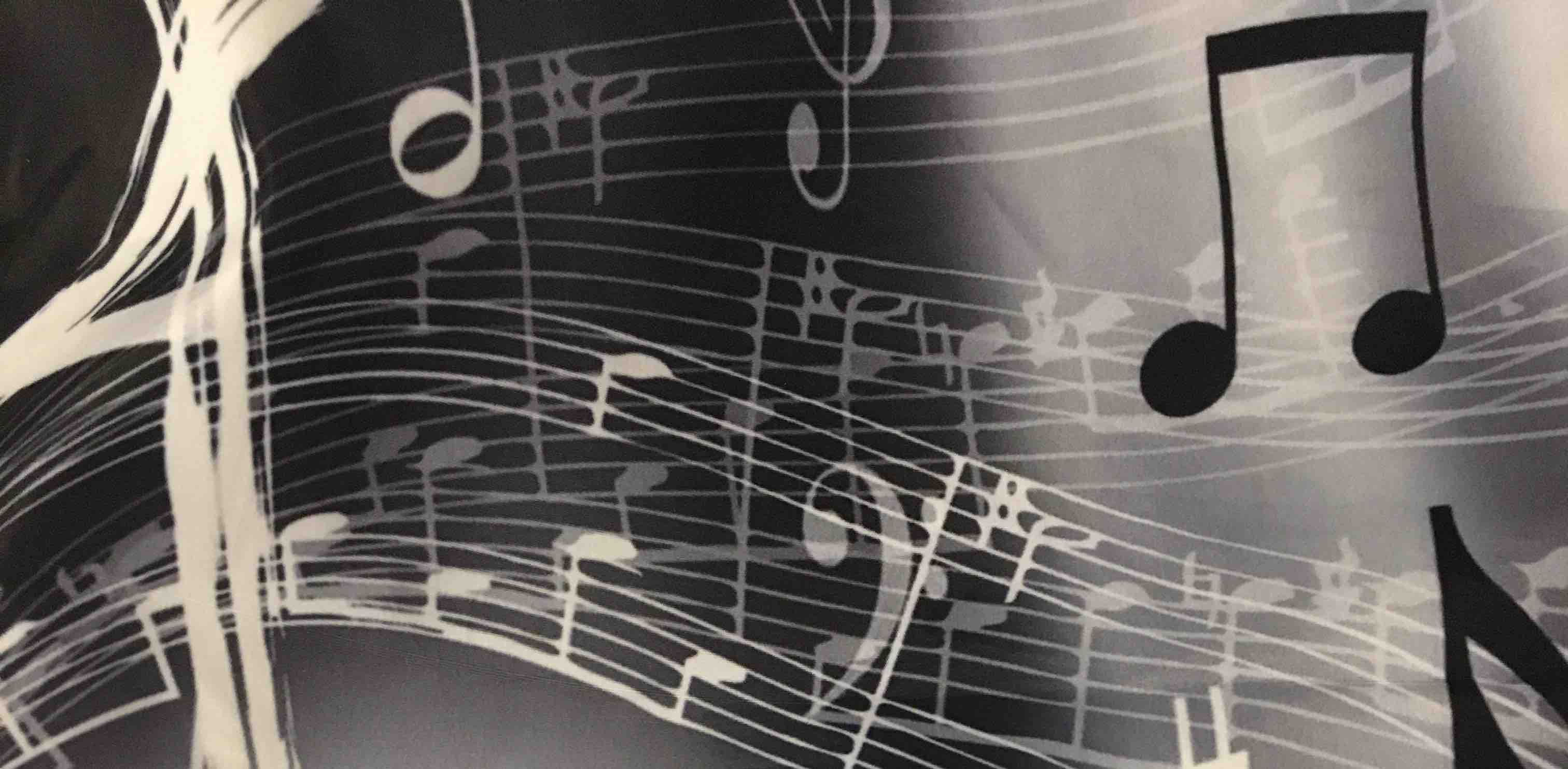 Music Lovers 🎶🎼🎵 banner