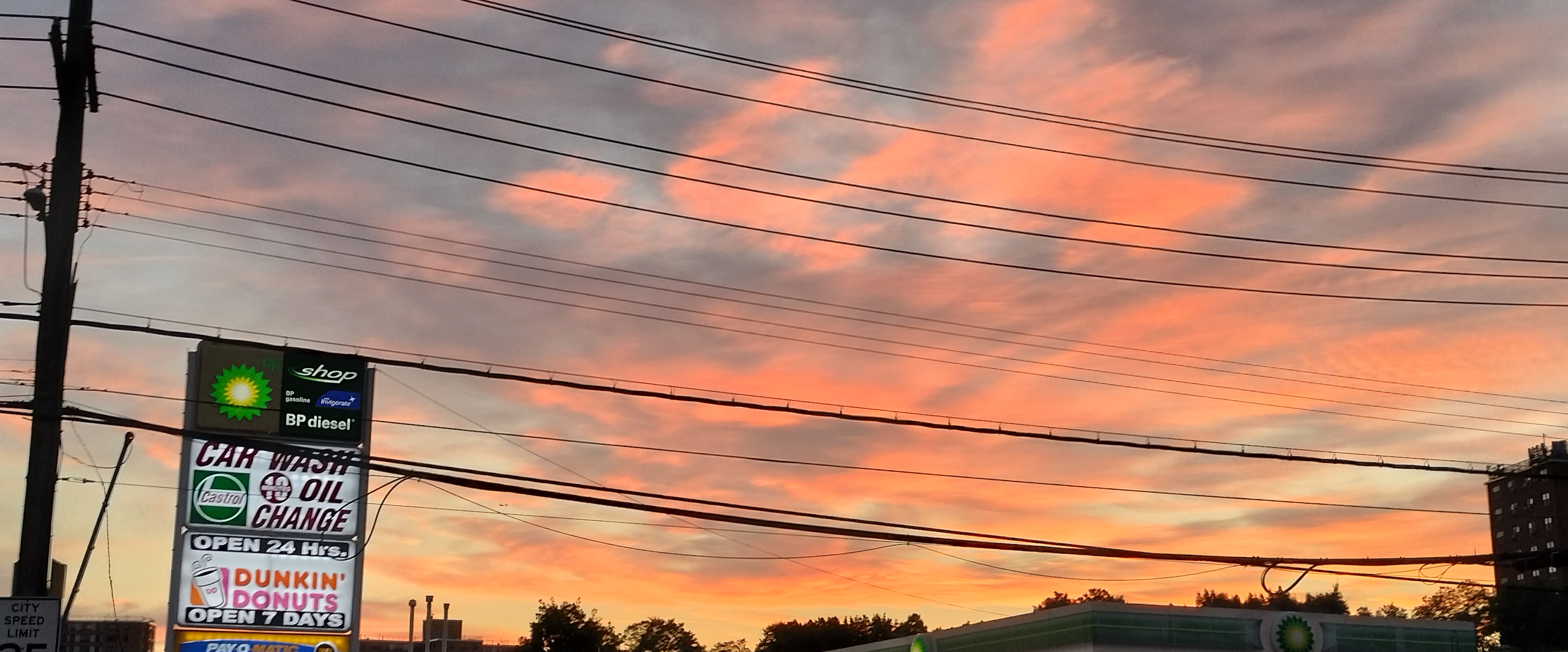 Step up 🥦🥬💯 banner