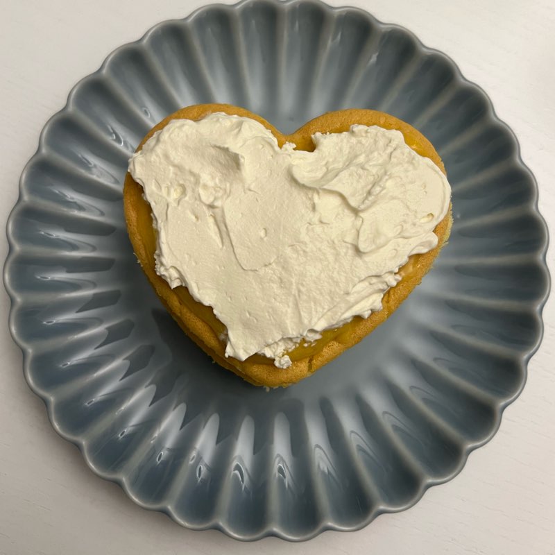 shachis & sarahs logo