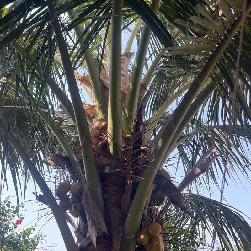 13th Street Nehru Nagar logo