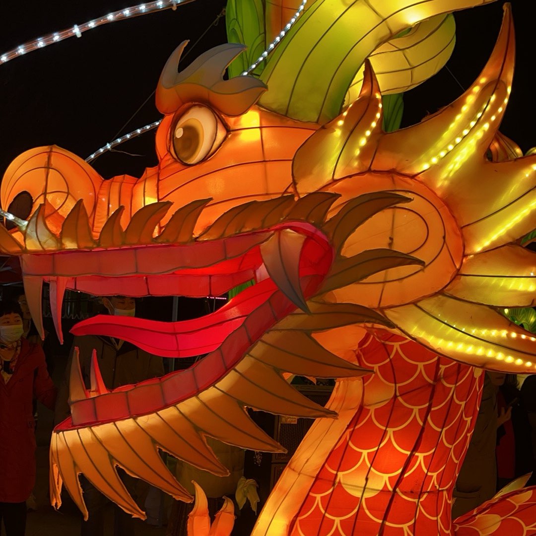 跳跳很淘气 logo