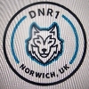 DNR1 - Norwich logo