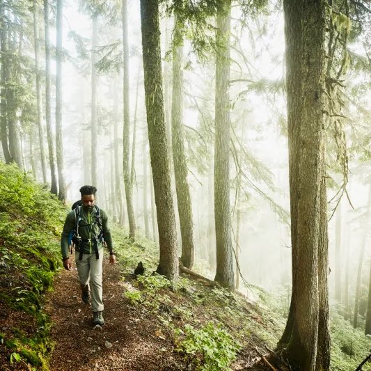 Let’s Burn 🔥 🔥🔥 logo