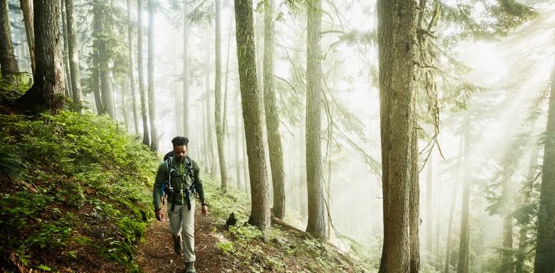 Let’s Burn 🔥 🔥🔥 banner