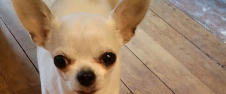 Parisiens cools !!! 😊 banner