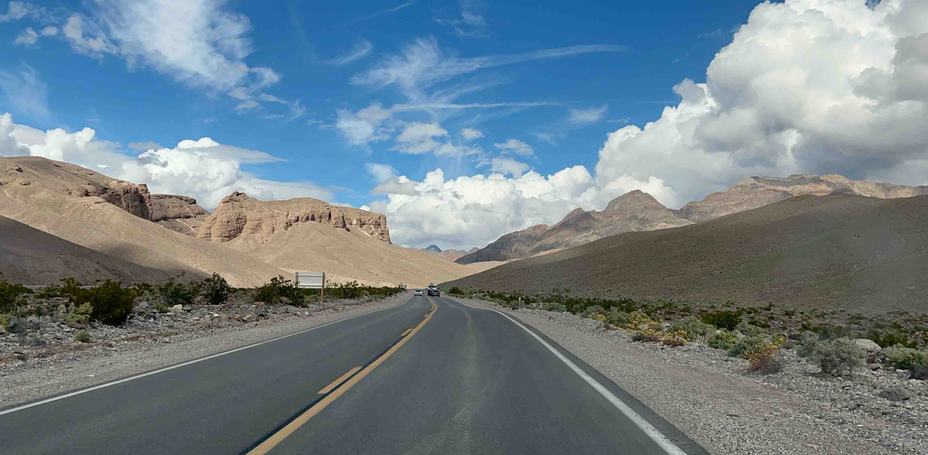 Determinator 2000 banner