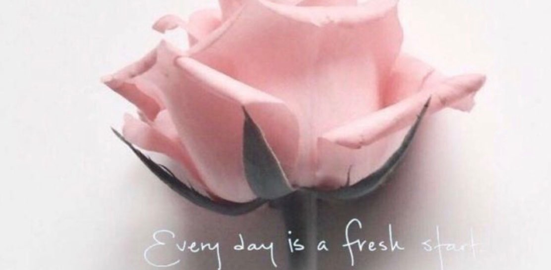 💜 Daizy 💜 banner