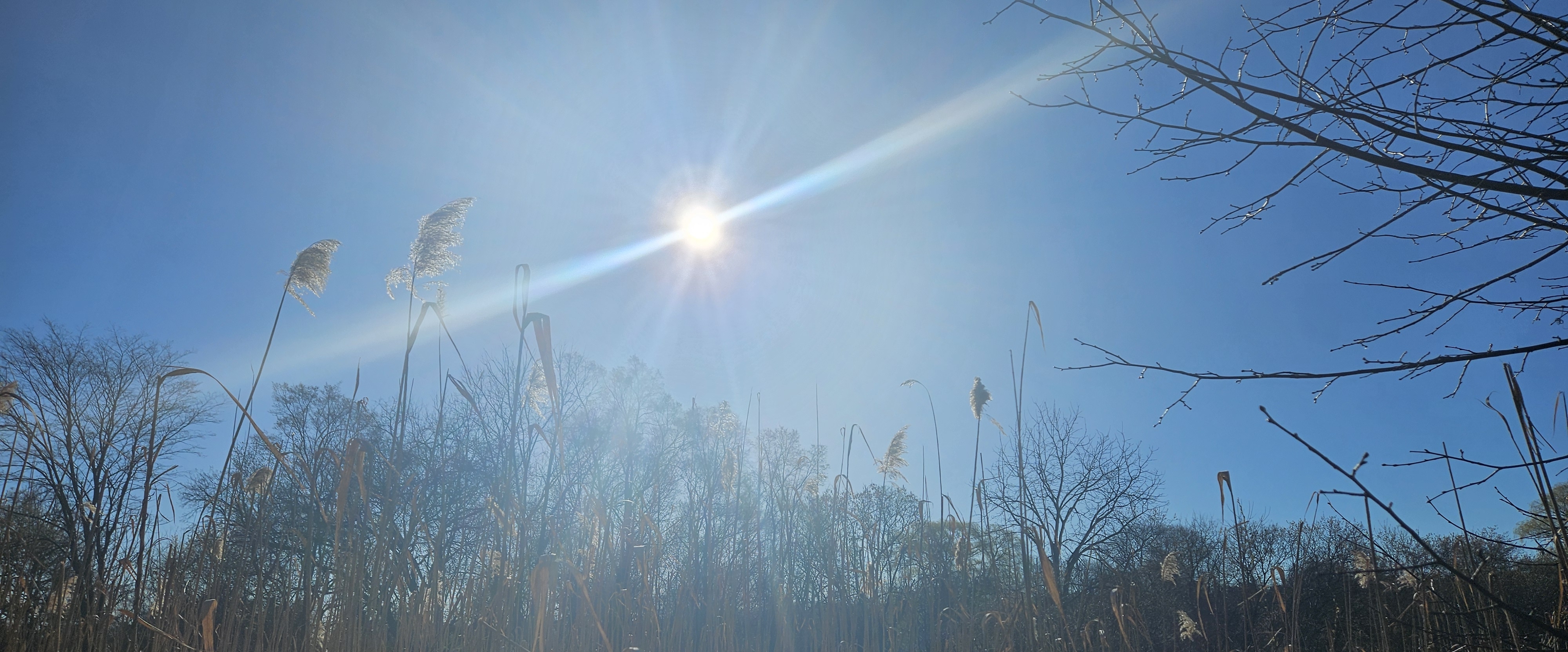 🚶♂️WALK & FUN🚶♀️ banner