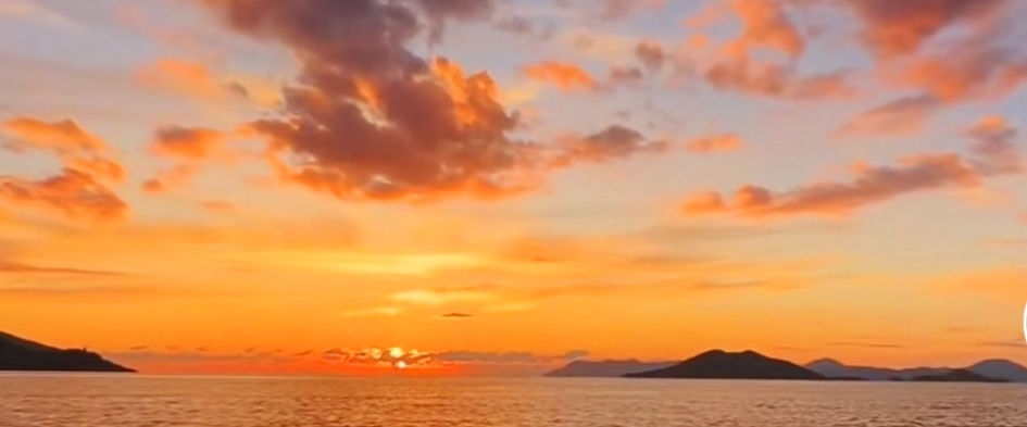 🦁LIONESS🦁 banner