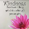 💖KINDNESS💖 logo